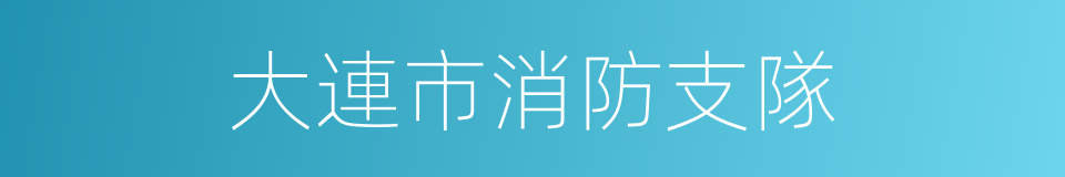 大連市消防支隊的同義詞