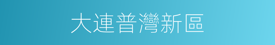 大連普灣新區的同義詞