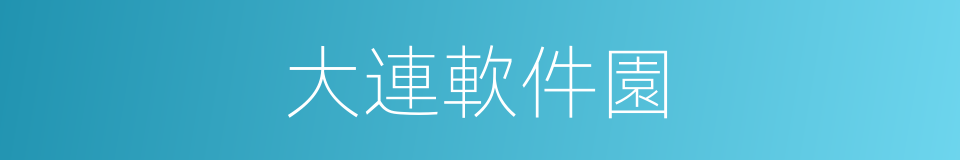 大連軟件園的同義詞