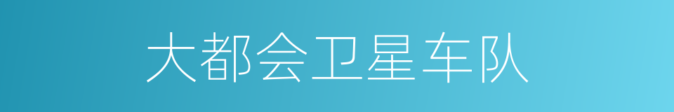 大都会卫星车队的同义词