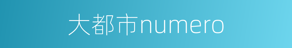 大都市numero的同义词