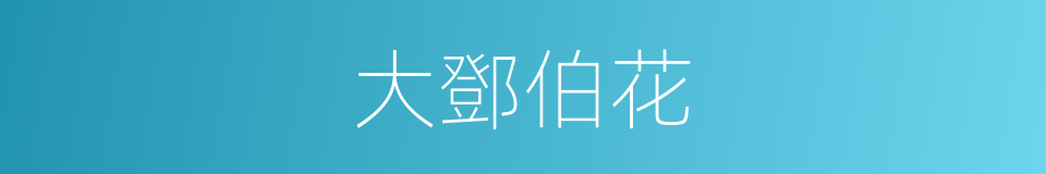 大鄧伯花的同義詞