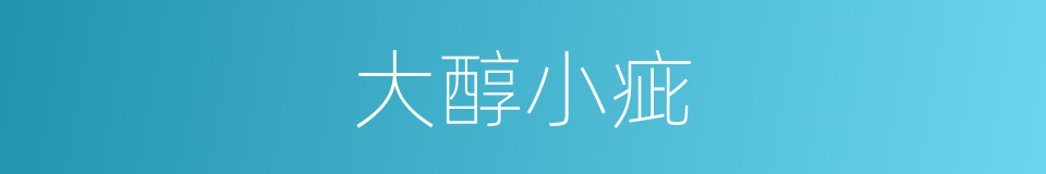 大醇小疵的意思