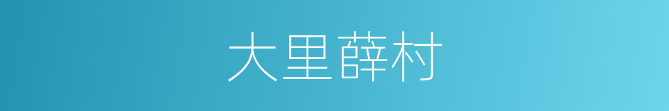 大里薛村的同义词