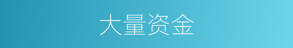 大量资金的同义词