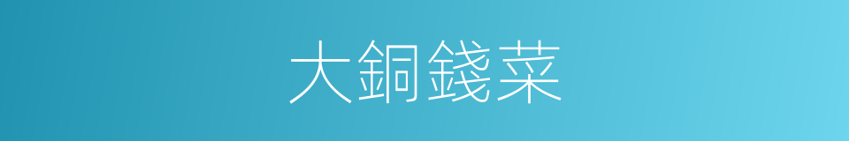 大銅錢菜的同義詞