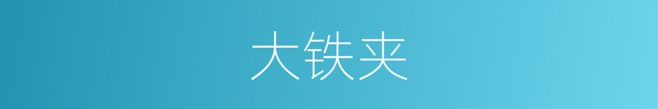 大铁夹的同义词