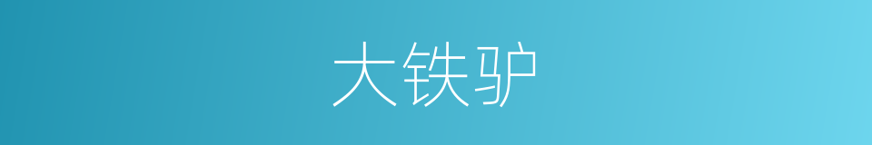 大铁驴的同义词