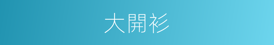 大開衫的同義詞