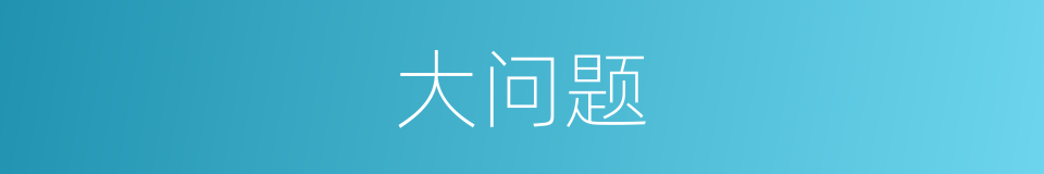 大问题的同义词