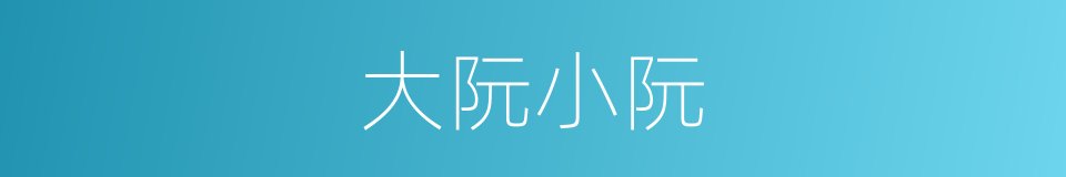 大阮小阮的同义词