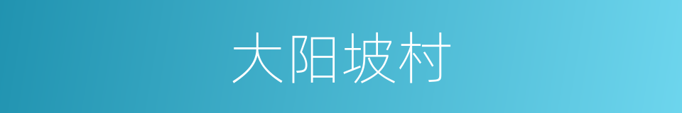 大阳坡村的同义词