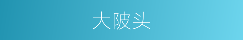 大陂头的同义词