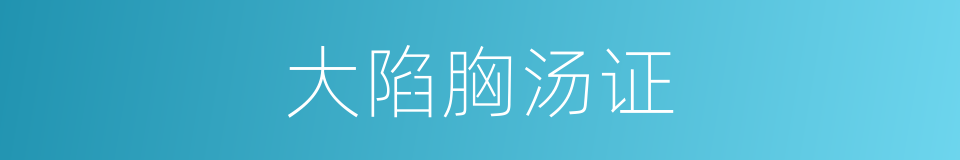大陷胸汤证的同义词