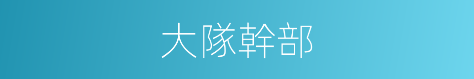 大隊幹部的同義詞