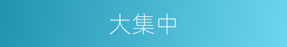 大集中的同义词