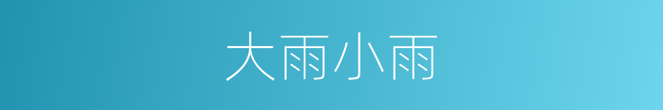 大雨小雨的同义词