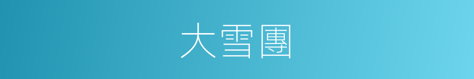 大雪團的同義詞