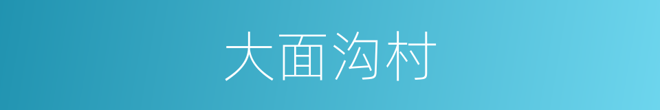大面沟村的同义词