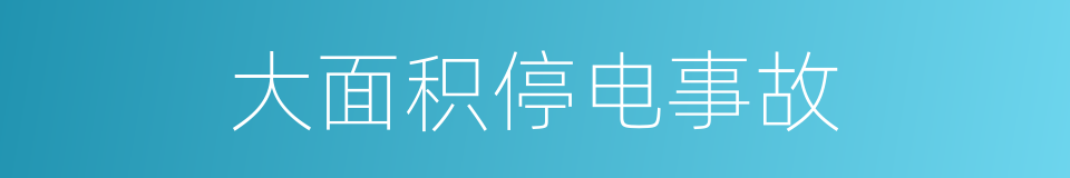 大面积停电事故的同义词