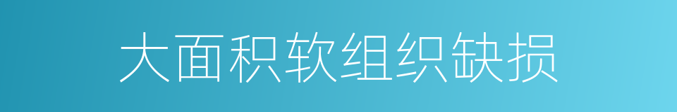 大面积软组织缺损的同义词