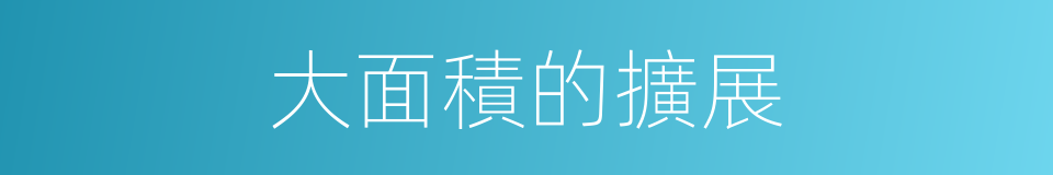 大面積的擴展的同義詞