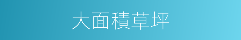 大面積草坪的同義詞