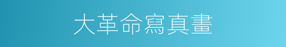 大革命寫真畫的同義詞