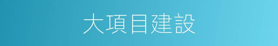 大項目建設的同義詞