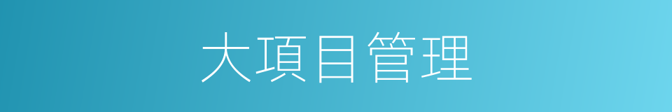 大項目管理的同義詞