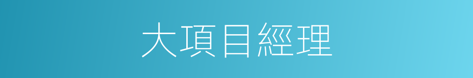 大項目經理的同義詞