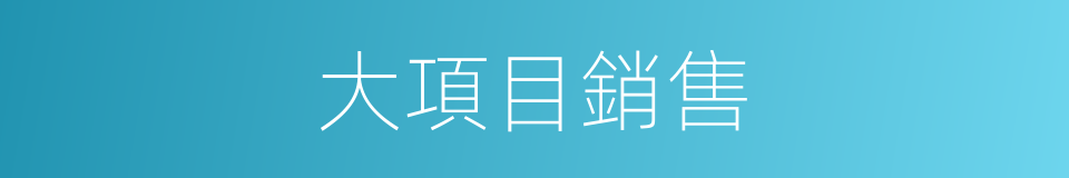 大項目銷售的同義詞