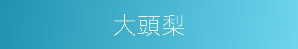 大頭梨的同義詞