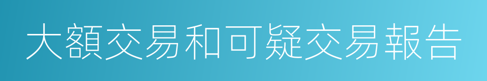 大額交易和可疑交易報告的同義詞