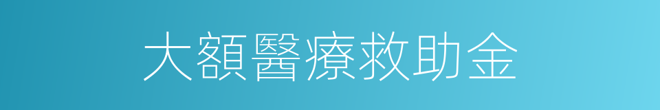 大額醫療救助金的同義詞