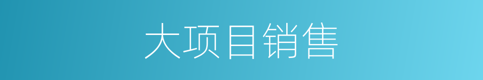 大项目销售的同义词