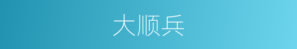 大顺兵的同义词