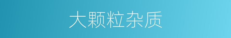大颗粒杂质的同义词