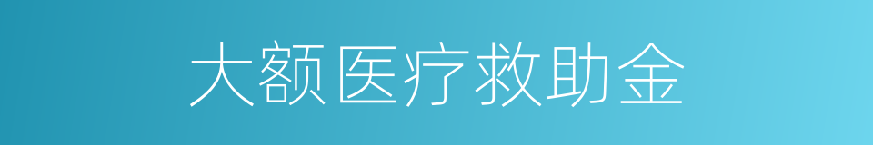 大额医疗救助金的同义词