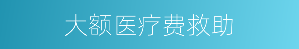 大额医疗费救助的同义词