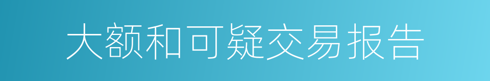 大额和可疑交易报告的同义词