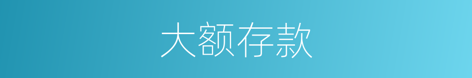 大额存款的同义词