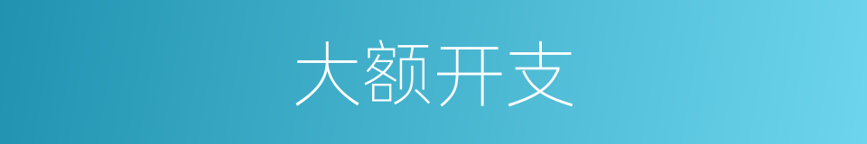 大额开支的同义词