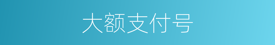 大额支付号的同义词