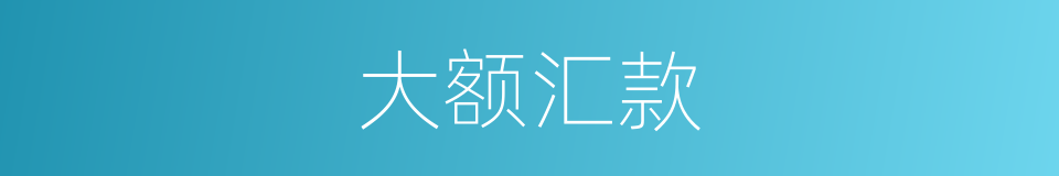 大额汇款的同义词