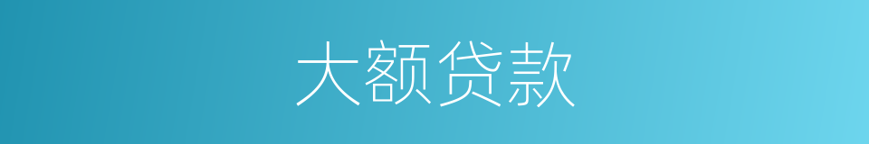 大额贷款的同义词