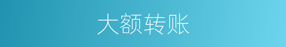 大额转账的同义词