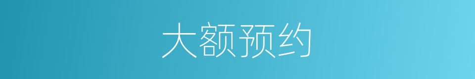 大额预约的同义词