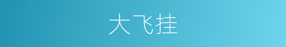 大飞挂的同义词