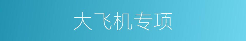 大飞机专项的同义词